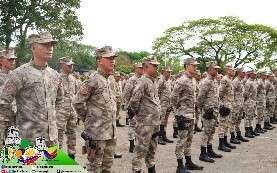 Picture13